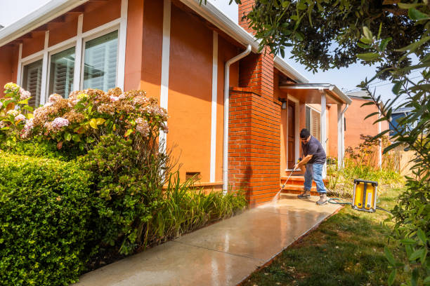 Best Power Washing Near Me  in Manteno, IL
